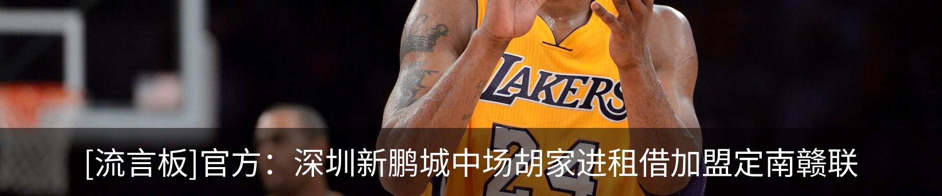 最新动态
